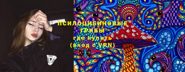 прущие грибы Нефтекумск